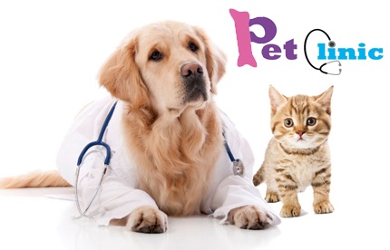 ¡Mima a tu mascota! Paga RD$ 500 en vez de RD$ 2,250 por Baño + Prevención contra pulgas y garrapatas + Limpieza de oídos + Corte de uñas + Grooming + Vaciado de perianales + Desenrede + Vitaminas en PetClinic Clínica Veterinaria.